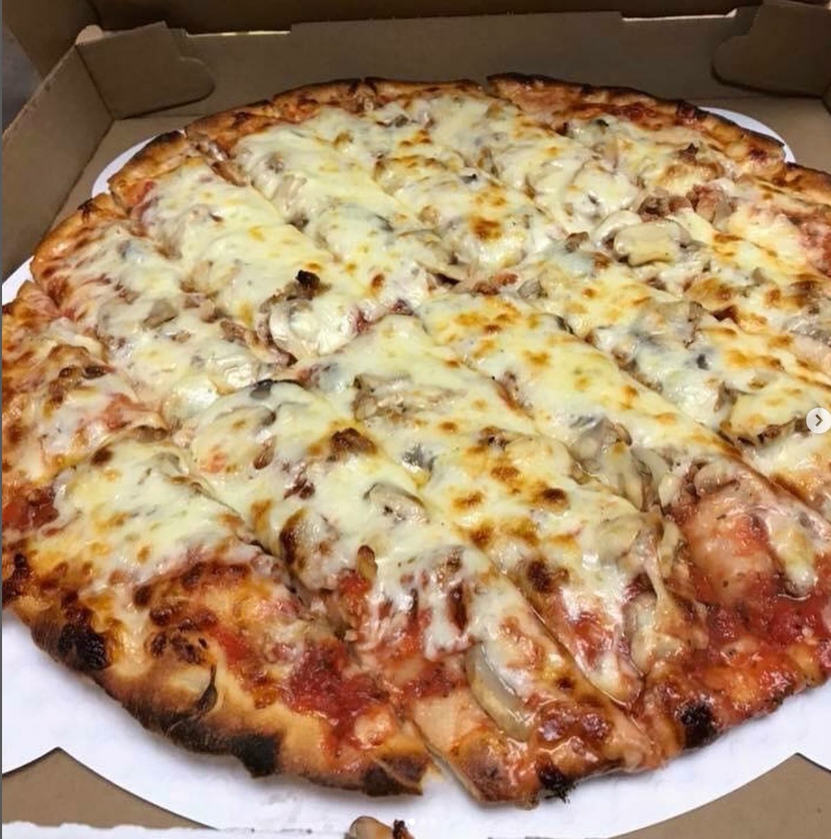Cheese pizza in the box